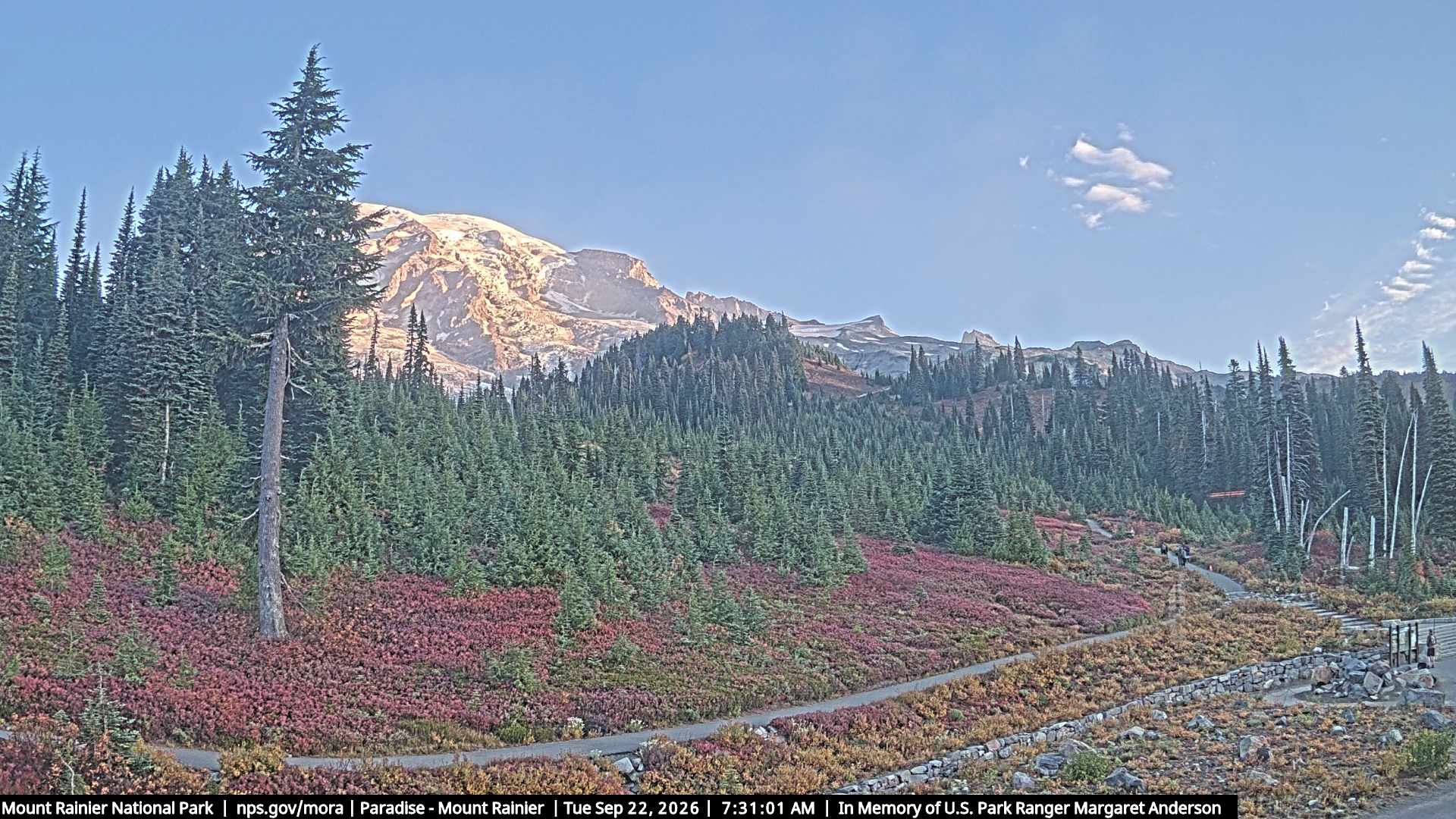 Mount Rainier — The Mountain from Paradise