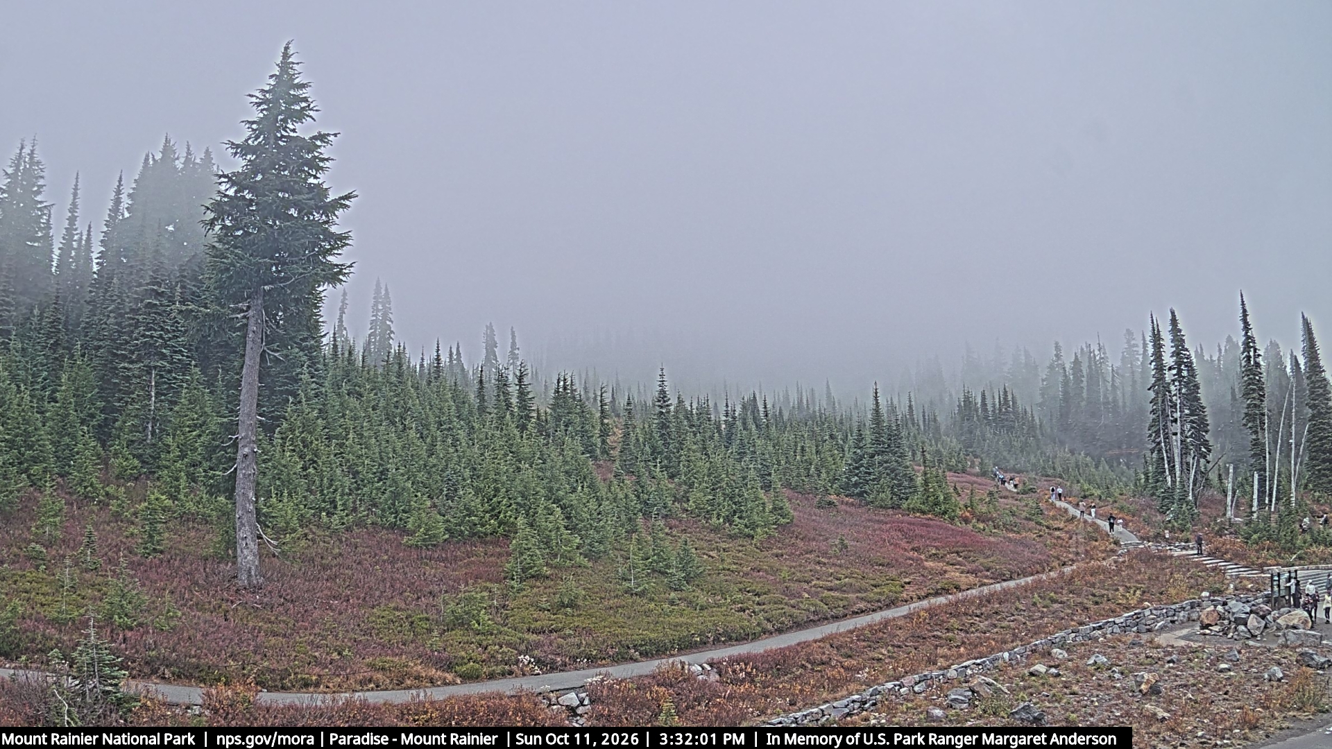 Mount Rainier — The Mountain from Paradise