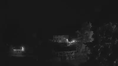 Вили Равните мочури: Smolyan