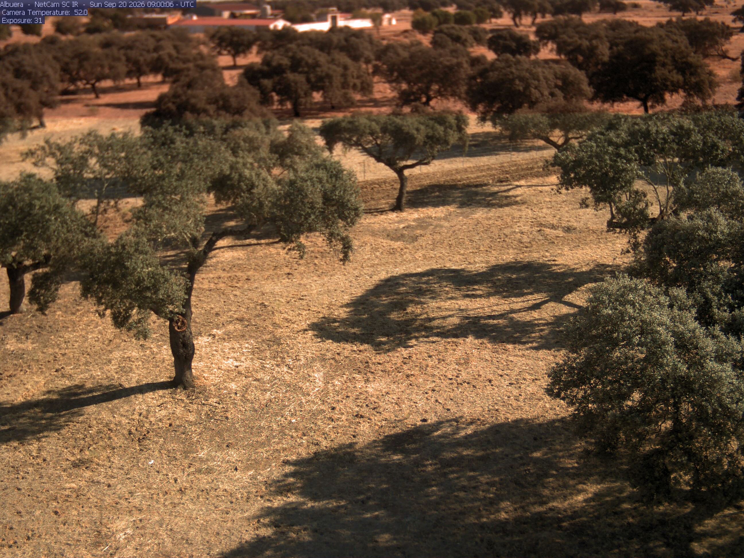 Albuera Dehesa, Spain